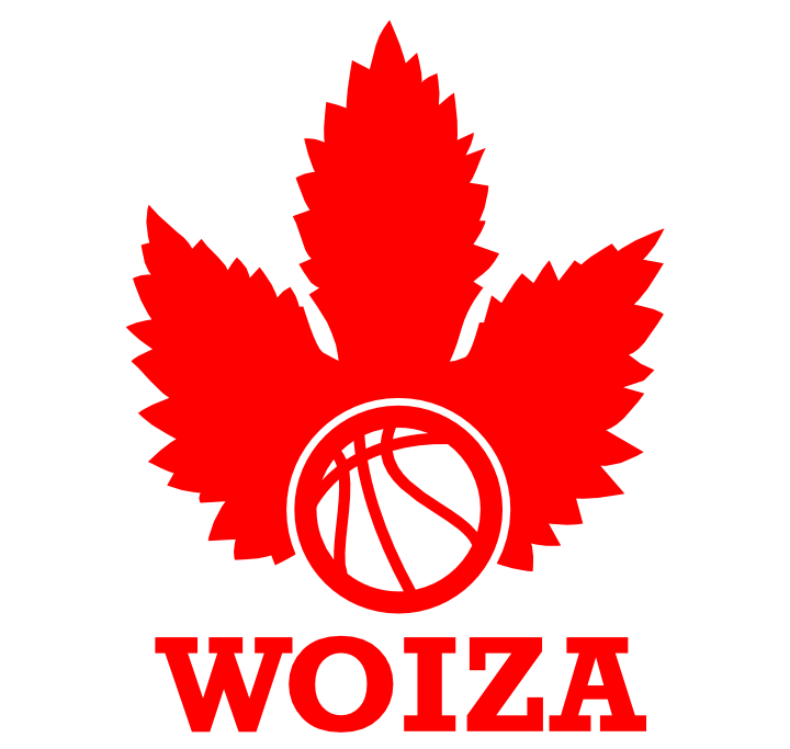 WOIZA Basket Shop